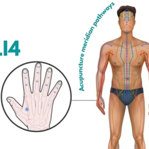 Sugar Control LI4 Acupressure Point Clip