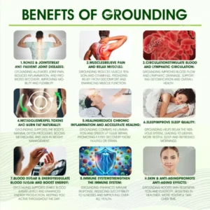 Fivfivgo™ EarthConnect Carbon Fiber Grounding Therapy Insoles