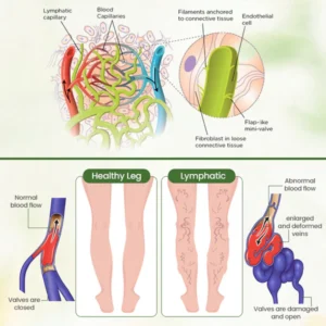 Biancat™ Lymphatic Detox Herbal Cream