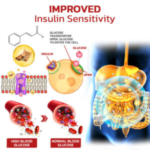 2024 New nebulizer for blood sugar control