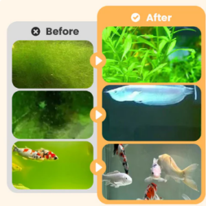 Algae & Moss Remover for Fish Tank – Safe Water Purification