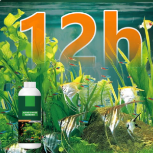 Algae & Moss Remover for Fish Tank – Safe Water Purification
