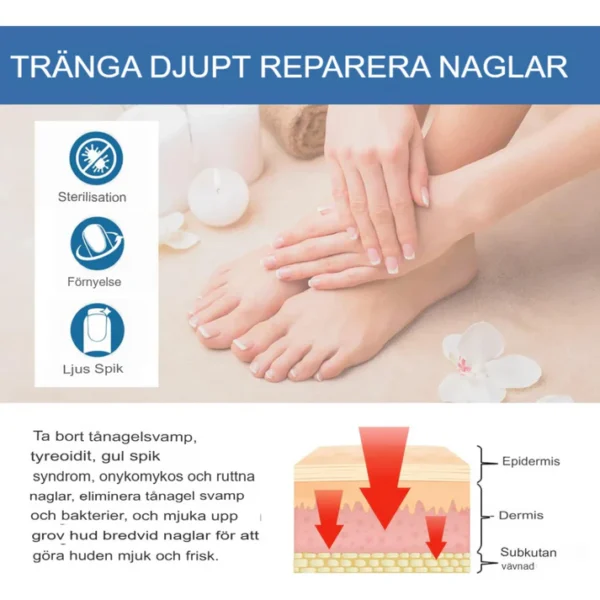 Fast-Acting Antifungal Nail Ointment