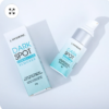 Lanthome Dark Spot Corrector & Remover
